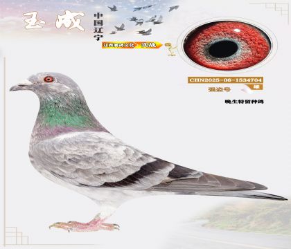 ǿţ̩¡ˣƽĹظظǾ