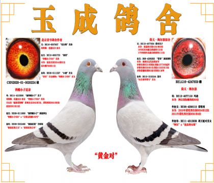 ԭģƽԣҼŸx÷ԭᣩ