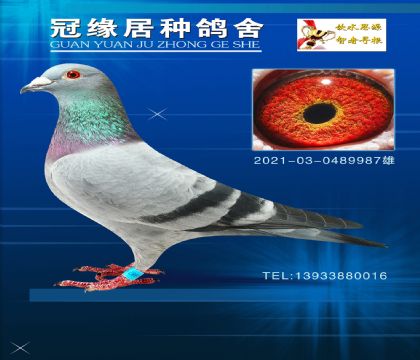 ɣʿƽ2021-03-0489987