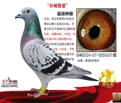 ĸ��һ³������54����