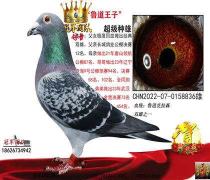 ����һ�人�������ظ���54������