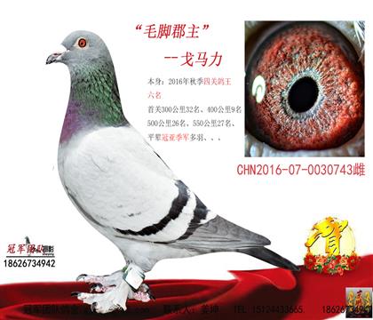 �������֮һ