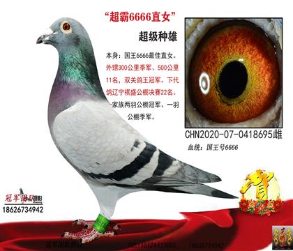 ĸ��һ�رȹھ��ù�