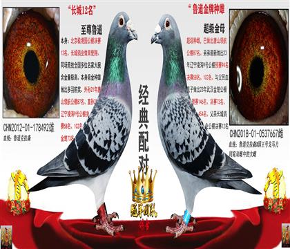 �۸븸ĸ����Ů�䣩