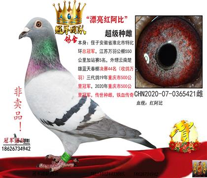 �Ƹ�ĸ��һƯ���찢��