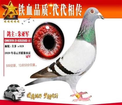 �´���һ������500����ھ�2