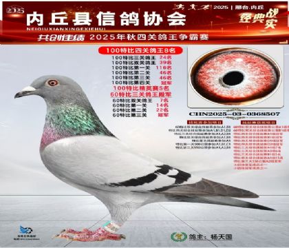 100رĹظ8 Ӣ5 60رȵ