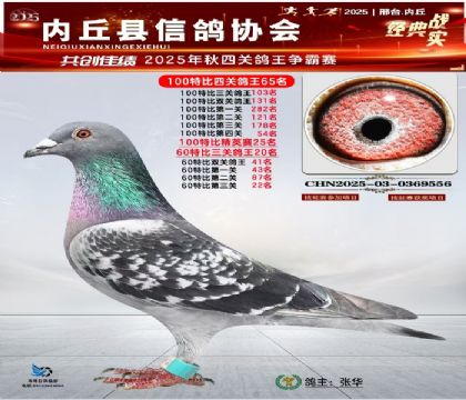 100رĹظ65 Ӣ2560ر20