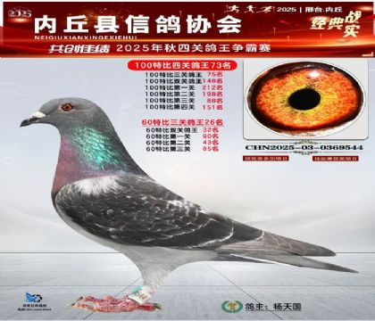 100رĹظ73 60رظ26