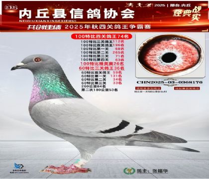 100رĹظ74 Ӣ2660ر36