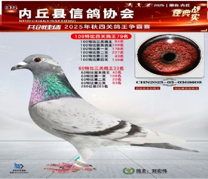 100رĹظ79 60رظ33