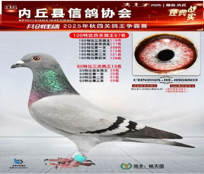 100رĹظ87 60رظ19