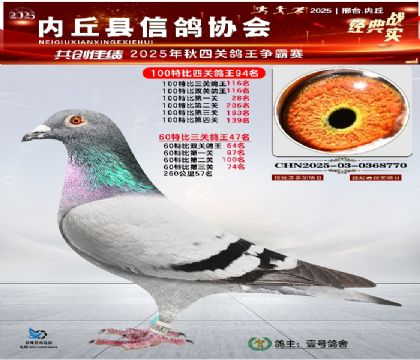 100رĹظ94 60رظ47