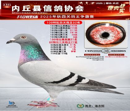 100رĹظ92 Ӣ31 60رظ27