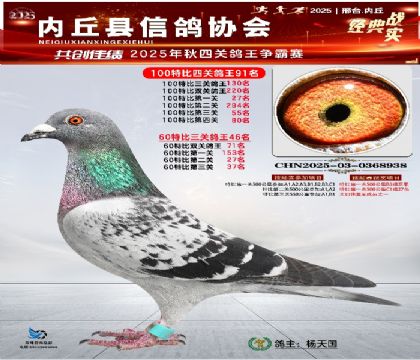 100رĹظ91 60رظ46