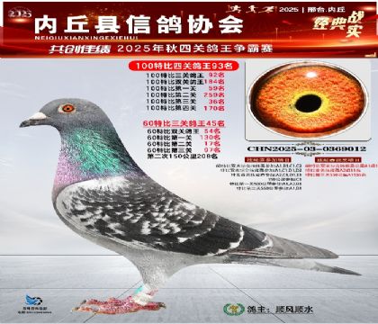 100رĹظ93 60رظ45