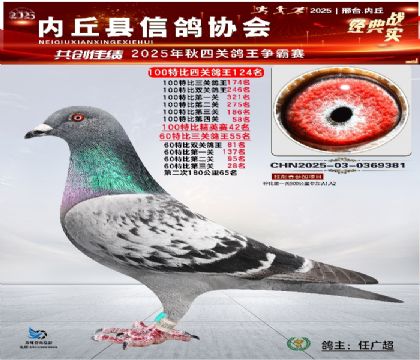 100رĹظ124 Ӣ42 60ر55