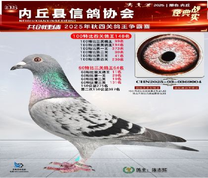 100رĹظ148 60رظ64