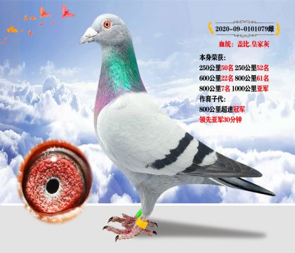 ǿƼĸѪͳǱ.ʼһ ɼ1000Ǿ