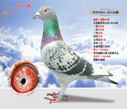 ̨ȫᡰֲ59ϵ  ɼۺ5