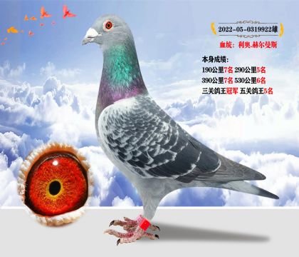 Ѫͳ.ն˹ ɼظھ ظ5