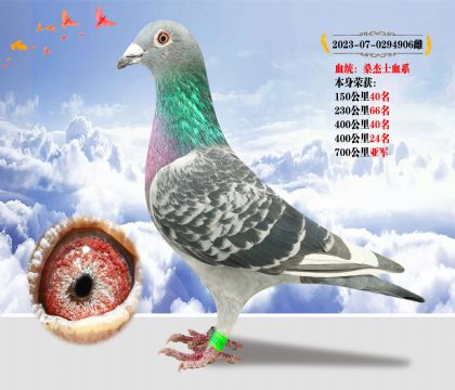 ѪͳɣʿѪϵ ٻ700Ǿ