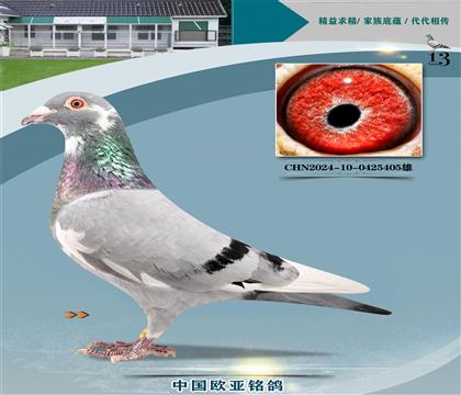 ɣʿ048ͭ324X061ֱŮ488