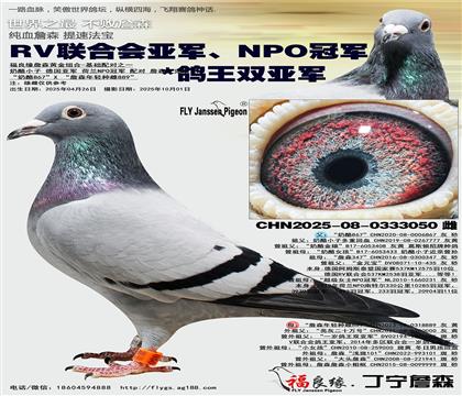 RV联合会亚军、NPO冠军