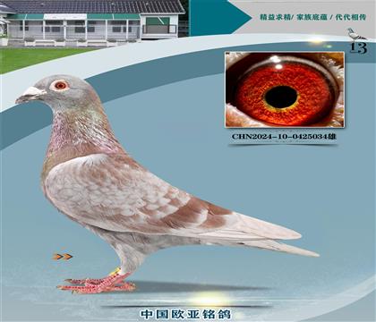 Ͽ.ǲѪͳض295Xضֱ394