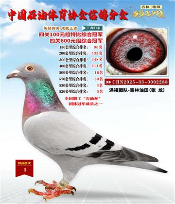 ĹرȻۺϹھҵۺϹھ