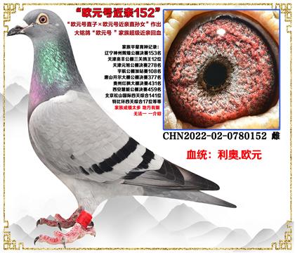 (صƼ¡ŷԪֱӡŷԪŽֱŮ