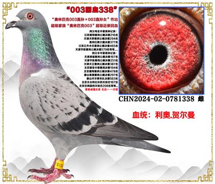 صƼ¡ƥ003ֱ003ֱŮ