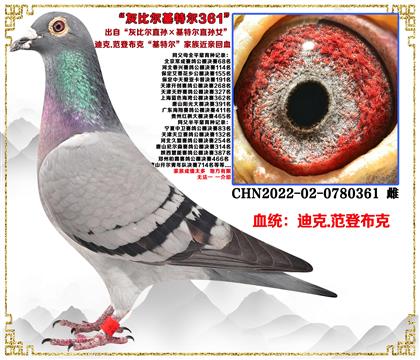 صƼϿ.ǲˡұȶֱضֱŮ