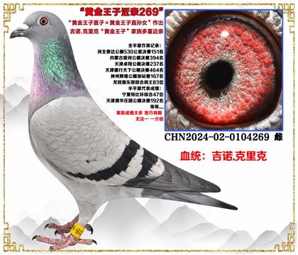 ŵ.ˡƽֱXƽֱŮ׻Ѫ