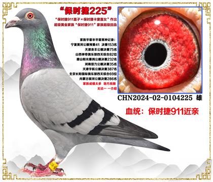 ʱ911ֱXʱ911ȫֱֵŮ