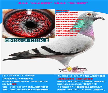 (山区地形 吃苦耐劳)桑杰士“双冠军”作出