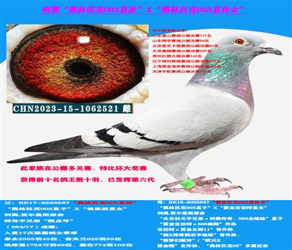 利奥“奥林匹克003”直孙X“奥林匹克003”直孙女