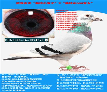 范登布克“基特尔”直子X“基特尔006”直女