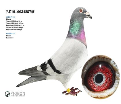 ˼.߶  098ֱX240ֱѪ