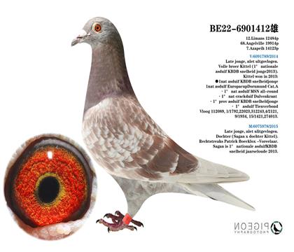 Ͽ.ǲԭ  ضȫֵXضŮ