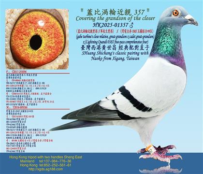 wȜu݆HOX܊УOXWȫ038XPC