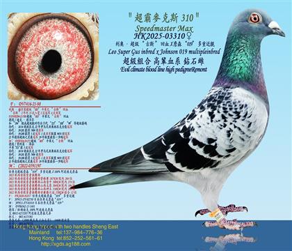 ¡˹ѪX ղɭ019ؽHX ղɭ