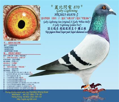 wW늌OԭᣩXwȣ׸XwȣW늽