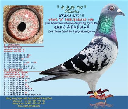 ղɭ019ؽHX xղɭ˹ƣ