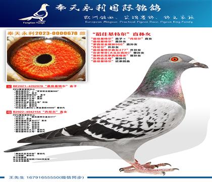 “最佳基特尔”直孙女“最佳基特尔”直子ד丹尼尔”直女