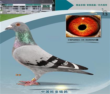 614X061ɣʿֱ337X926ֱŮ239