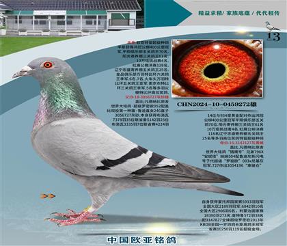 Ǳԭᳬŷֱ727Xӥ127