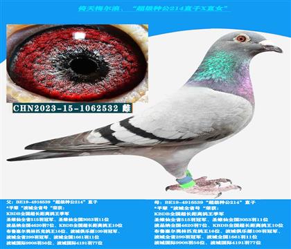 倚天梅尔浪“超级种公214直子X直女”