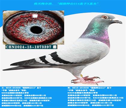 倚天梅尔浪“超级种公214直子X直女”