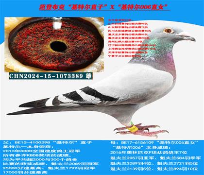 范登布克“基特尔”直子X“基特尔006”全姐妹